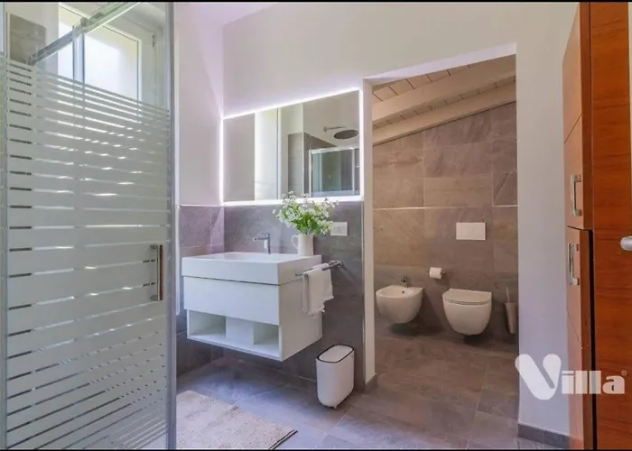 Camelia View Apartment *